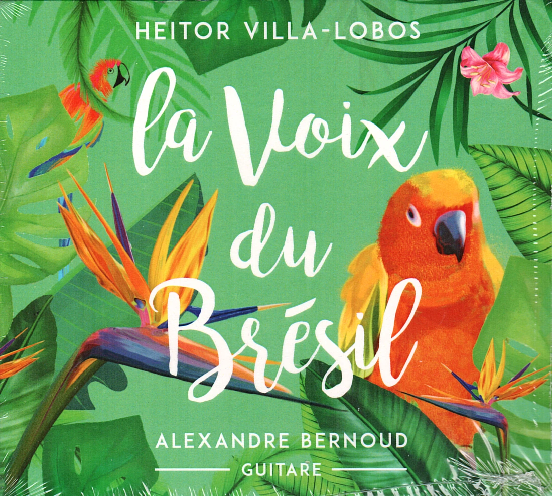 Front cover of La voix du Brésil — Alexandre Bernoud